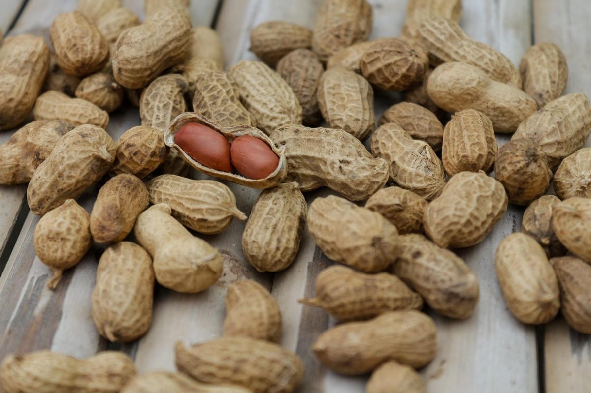 Nutrition sportive : que manger avant et après l’entraînement ?