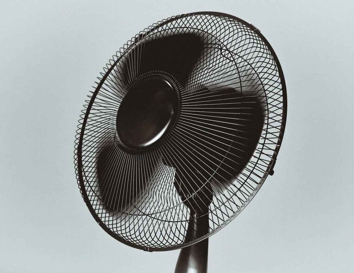 Gérer la canicule en été : 8 conseils pratiques pour faire face